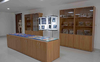 Museum