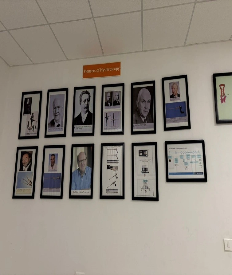 School of Hysteroscopy