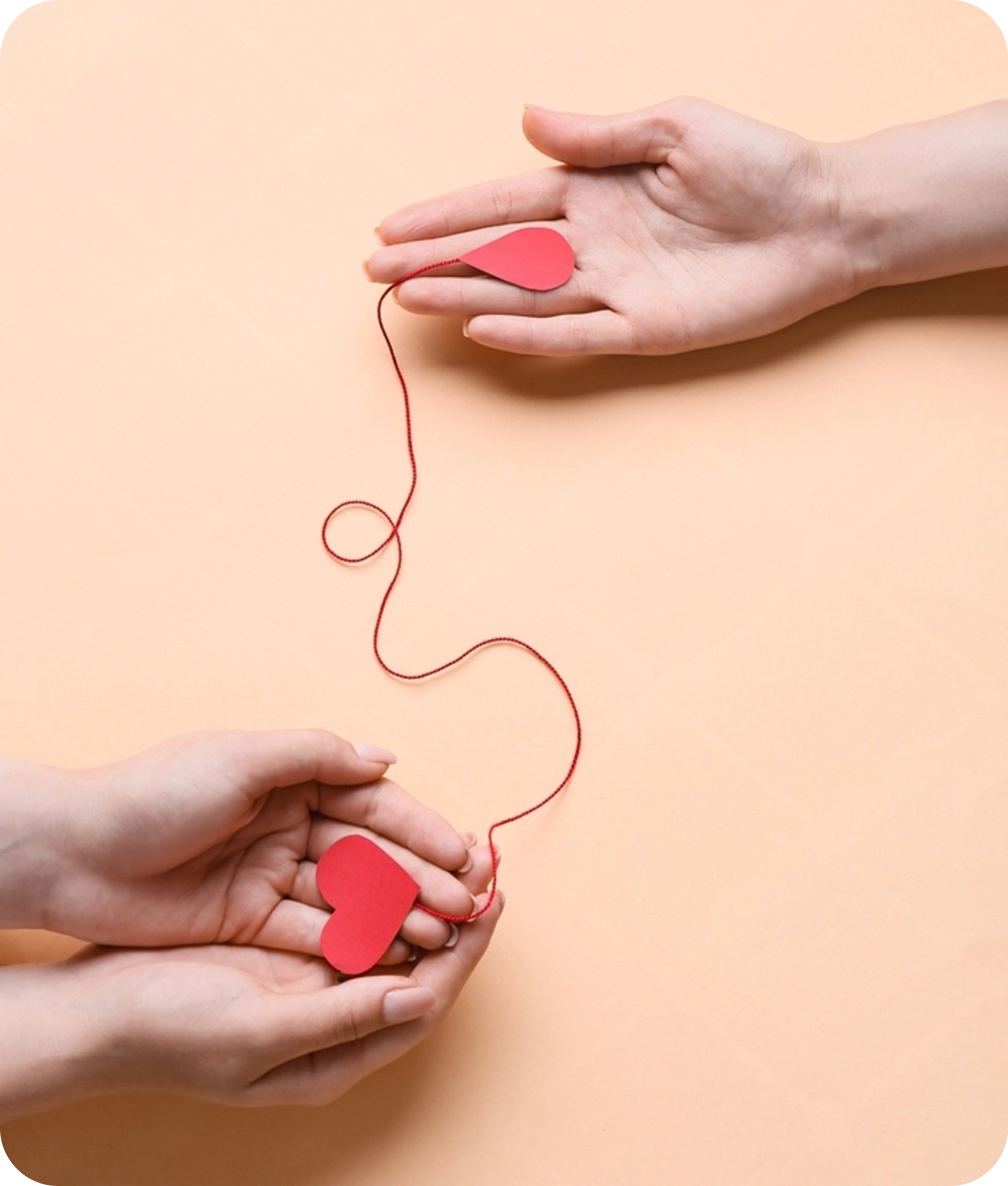 Body Donation
